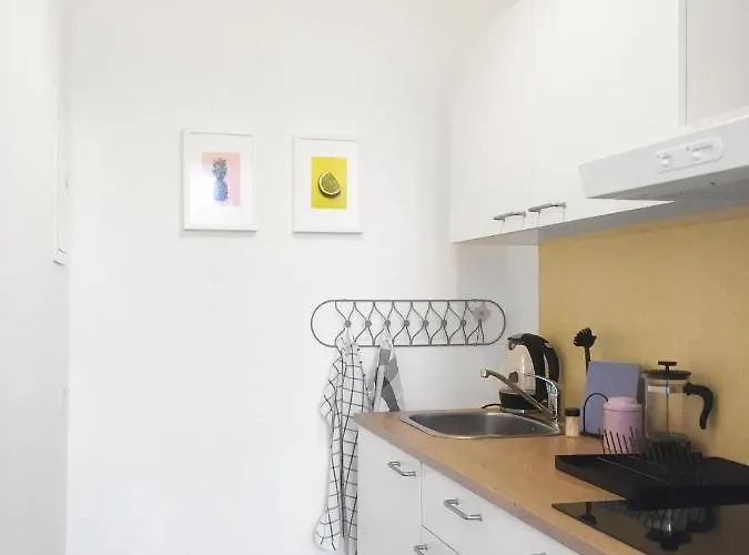 Roemerburg Burgstrasse 公寓 博帕德